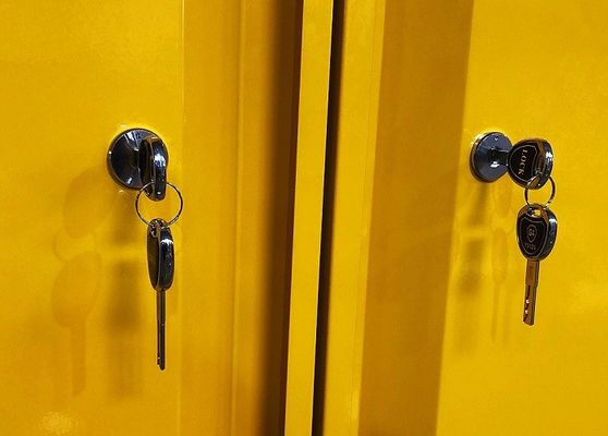 شراء Chemical Storage Cabinet with 109x46x123CM, 109x46x165CM, and 109x86x165CM Sizes for Hazardous Material Storage التصنيع عبر الإنترنت